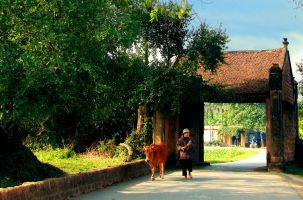 Lạc lối trong vẻ đẹp của Làng cổ Đường Lâm